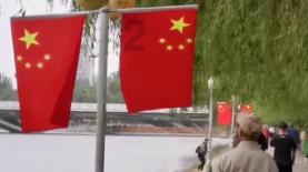 探索金刚菩提的瓣线会越来越大吗?——引领你进入金刚菩提的瓣线会越来越大吗?世界的红迪网平台